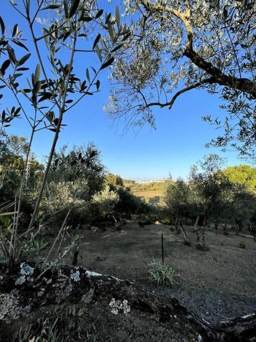 Villa Maria, Casa Rural En Cazalla De La Sierra. מראה חיצוני תמונה